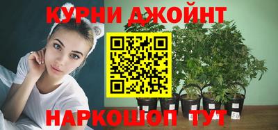 прущие крисы Будённовск