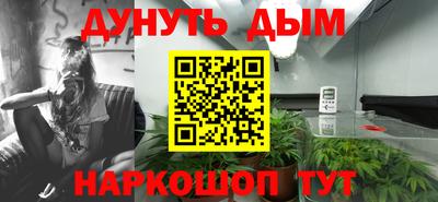 прущие крисы Будённовск
