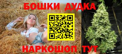 прущие крисы Будённовск