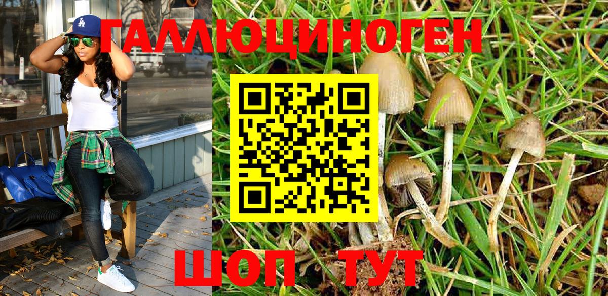 Псилоцибиновые грибы MAGIC MUSHROOMS Волоколамск